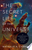 The Secret Life of the Universe