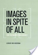 Images in Spite of All