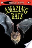 Amazing Bats