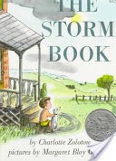 The Storm Book