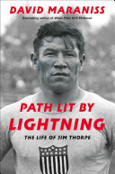 Path Lit by Lightning