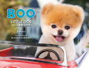 Boo: Little Dog in the Big City