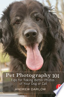 Pet Photography 101
