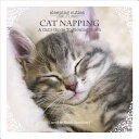 Cat Napping