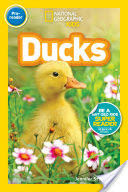 National Geographic Readers: Ducks (Pre-reader)