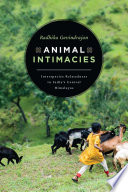 Animal Intimacies