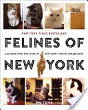 Felines of New York