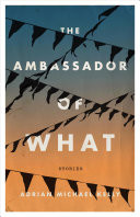 The Ambassador of What