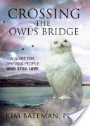 Crossing the Owls Bridge
