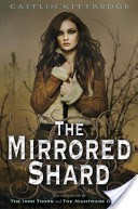 The Mirrored Shard: The Iron Codex Book Three