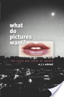 What Do Pictures Want?