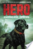 Hero: Hurricane Rescue