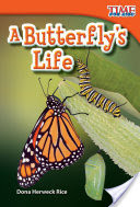 A Butterfly's Life