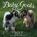 Baby Goats 2017