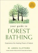 Your Guide to Forest Bathing