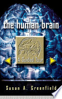 The Human Brain