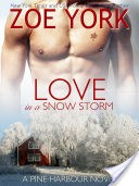 Love in a Snow Storm