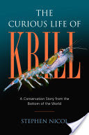 The Curious Life of Krill