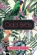 Odd Birds