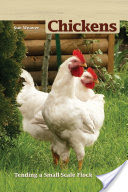Chickens