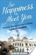 So Happiness to Meet You: Foolishly, Blissfully Stranded in Vietnam