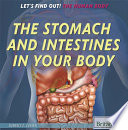 The Stomach and Intestines in Your Body