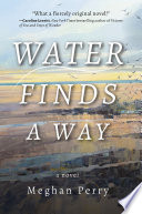 Water Finds a Way a novel