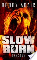 Slow Burn: Sanctum, Book 9