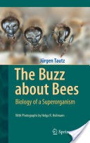 The Buzz about Bees