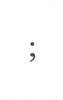 Semicolon (;)