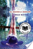 The Heaven of Mercury: A Novel