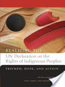 Realizing the UN Declaration on the Rights of Indigenous Peoples