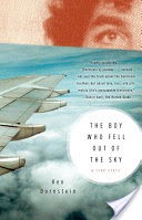 The Boy who Fell Out of the Sky