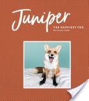Juniper: The Happiest Fox