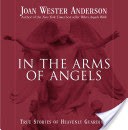 In the Arms of Angels