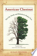 American Chestnut