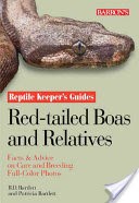 Red-Tailed Boas and Relatives