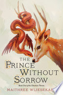 The Prince Without Sorrow