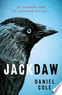 Jackdaw
