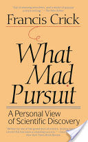 What Mad Pursuit