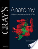 Gray's Anatomy International Edition