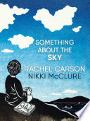 Something about the Sky