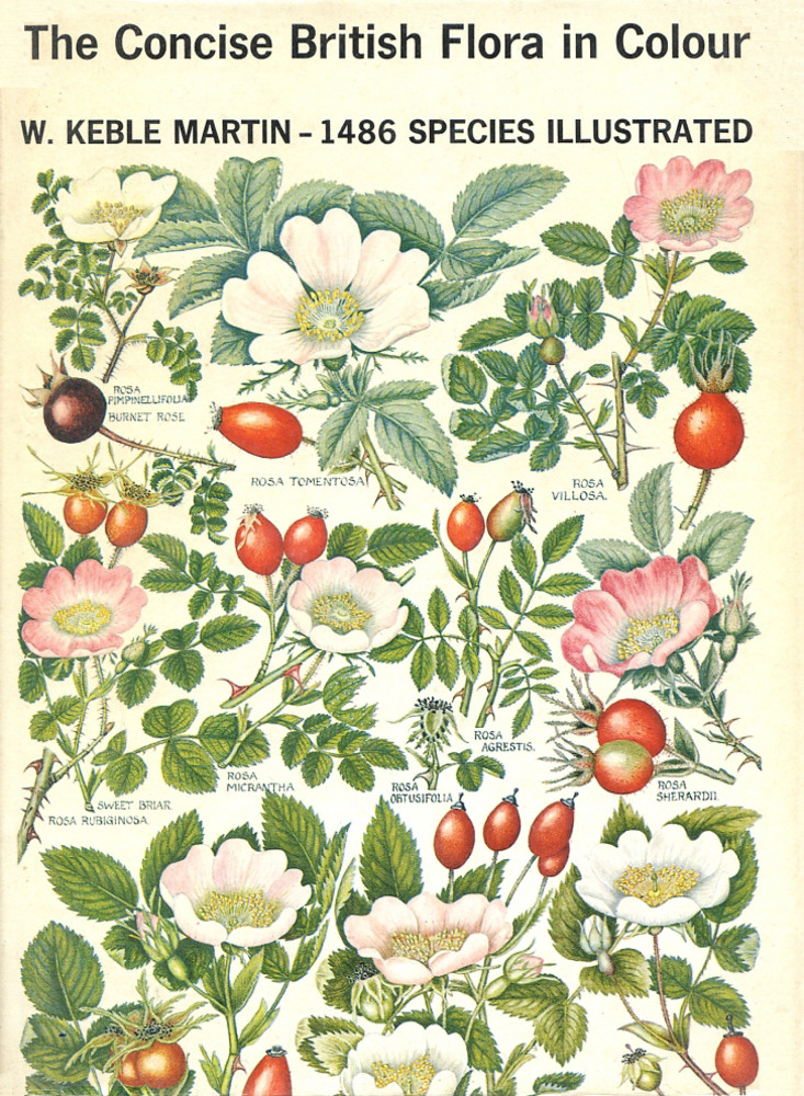 The Concise British Flora in Colour