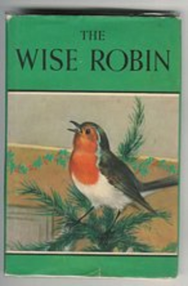 The Wise Robin