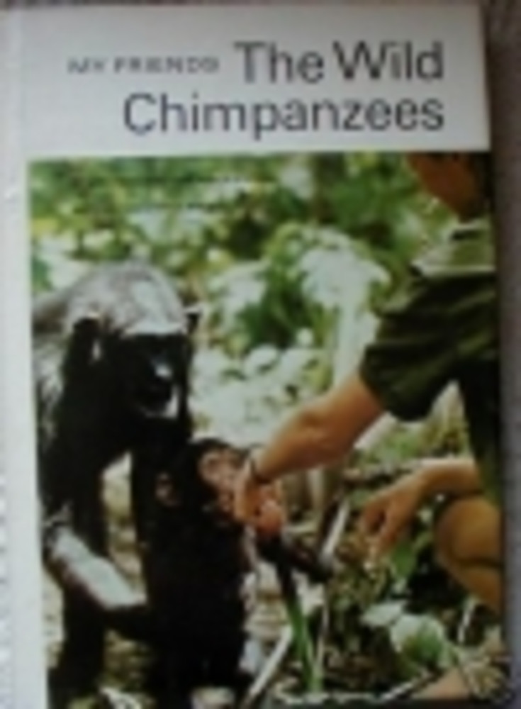 My Friends, the Wild Chimpanzees