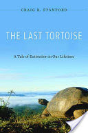 The Last Tortoise