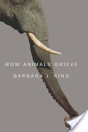 How Animals Grieve