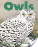 Owls