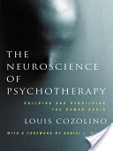 The Neuroscience of Psychotherapy: Healing the Social Brain (Second Edition)