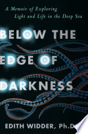 Below the Edge of Darkness